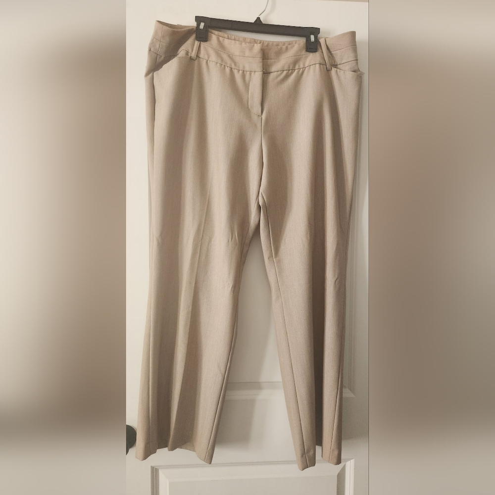 Cato Women's Light Tan Chinos